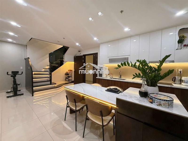 Cho thuê penthouse phú đông sky garden ngay phạm văn đồng y hình