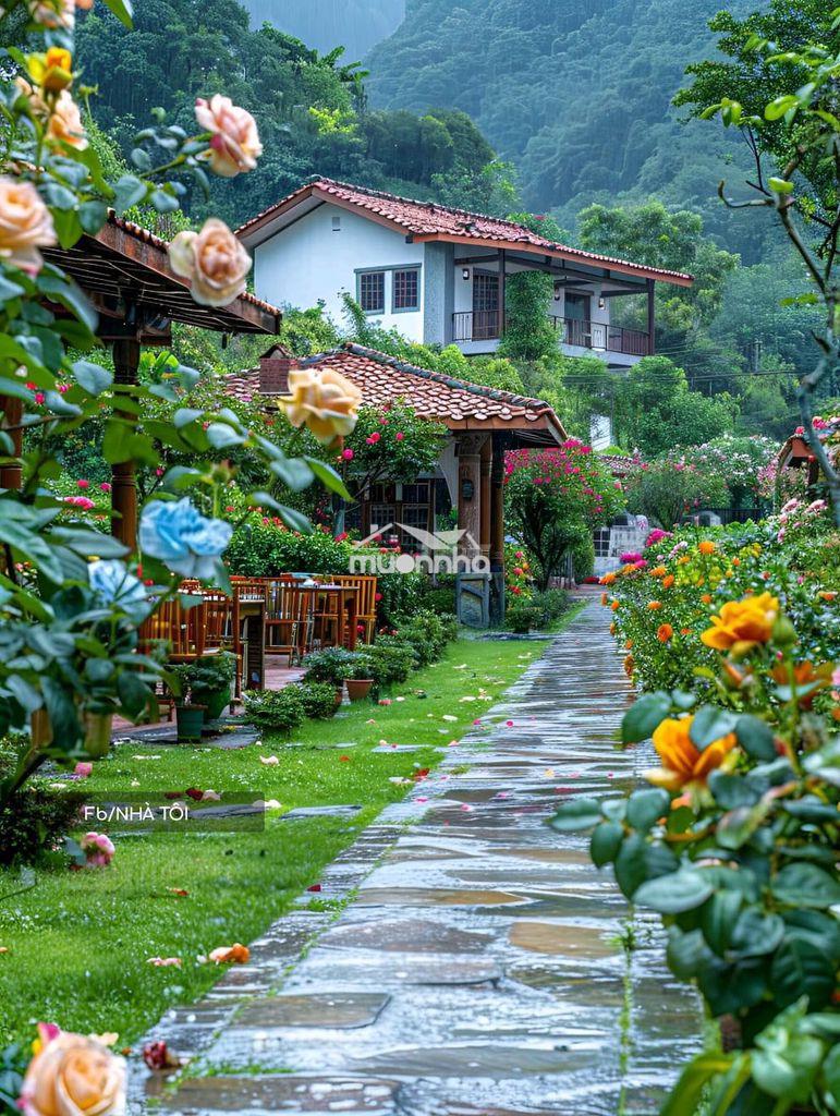 Cho thuê nhà nguyễn văn săng - p tân sơn nhì 4 x 17 m đúc 1 lầu : - 2