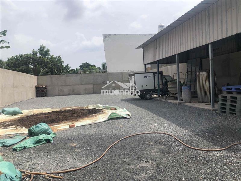 Cho thuê đất + kho (như hình) dt:15x34=500m2  đường xe contenter vào