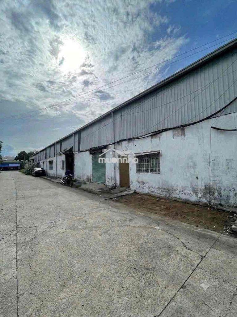❇️ Kho xưởng 1150m phú lợi, thủ dầu một