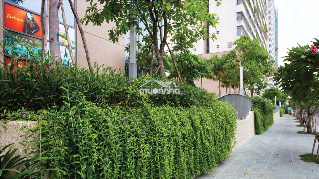 Cần cho thuê diamond lotus riverside 2pn-1wc, full nội thất_giá 14tr - 3