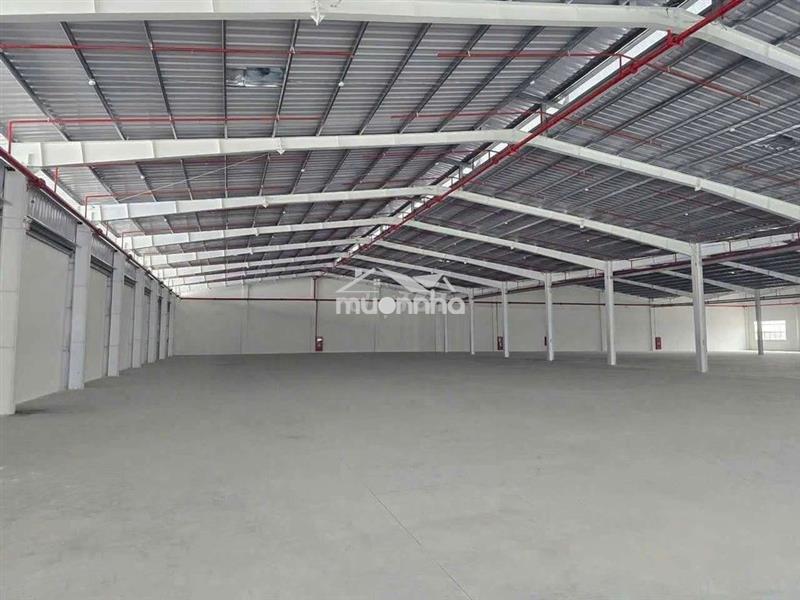 Cho thuê xưởng tân hiệp tân uyên bình dương