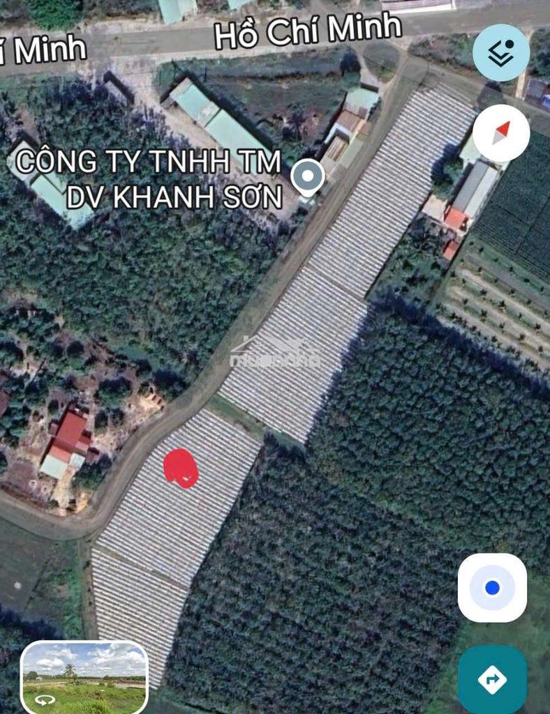Vợ chồng tôi cần bán gấp lô đất gần đường hồ chí minh