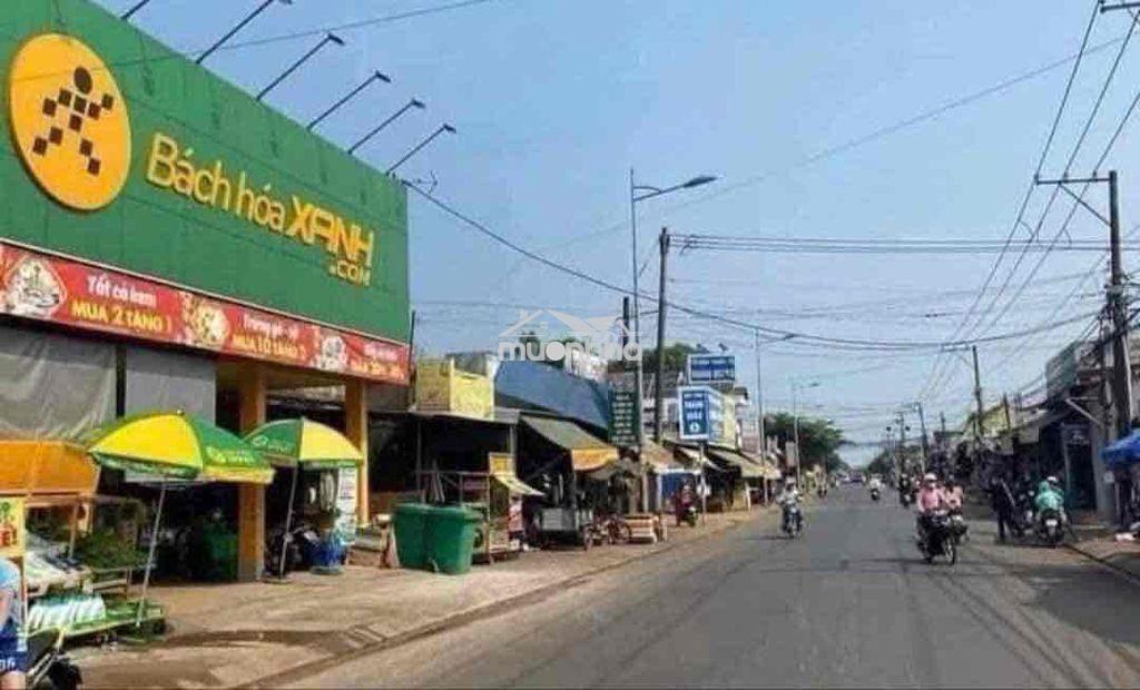 Đất thổ cư giá rẻ - 3