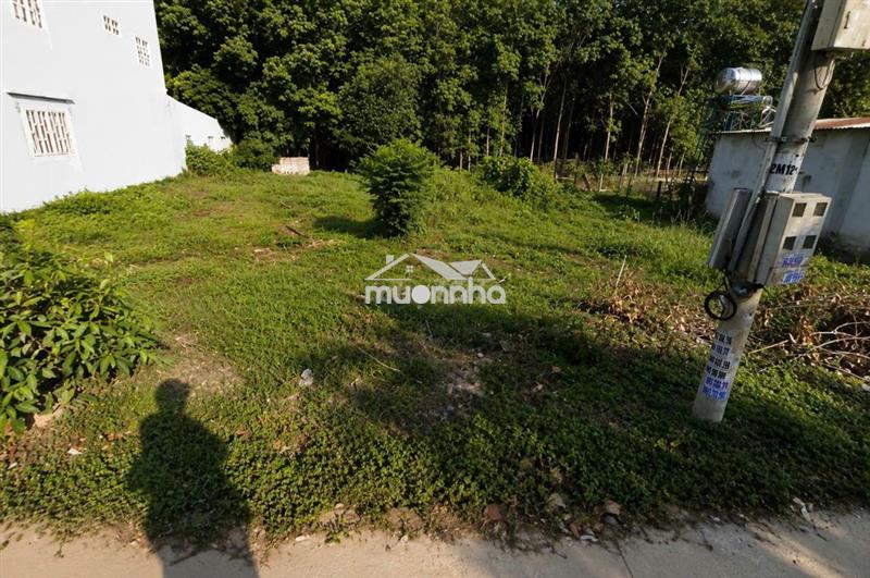 Bán đất 5x20, 599tr, bán ngộp, gần chợ hưng hoà