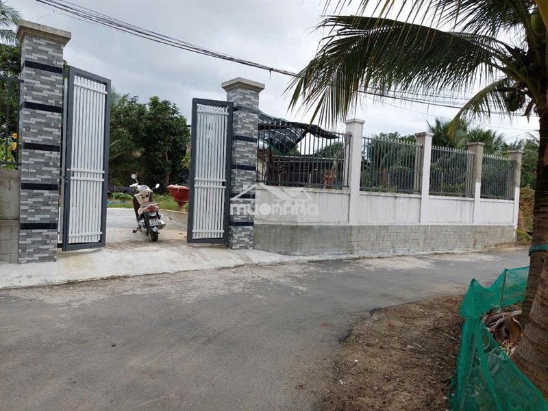 Bán đất diên toàn mặt tiền đường nhựa  giá chỉ 12.5tr/m2