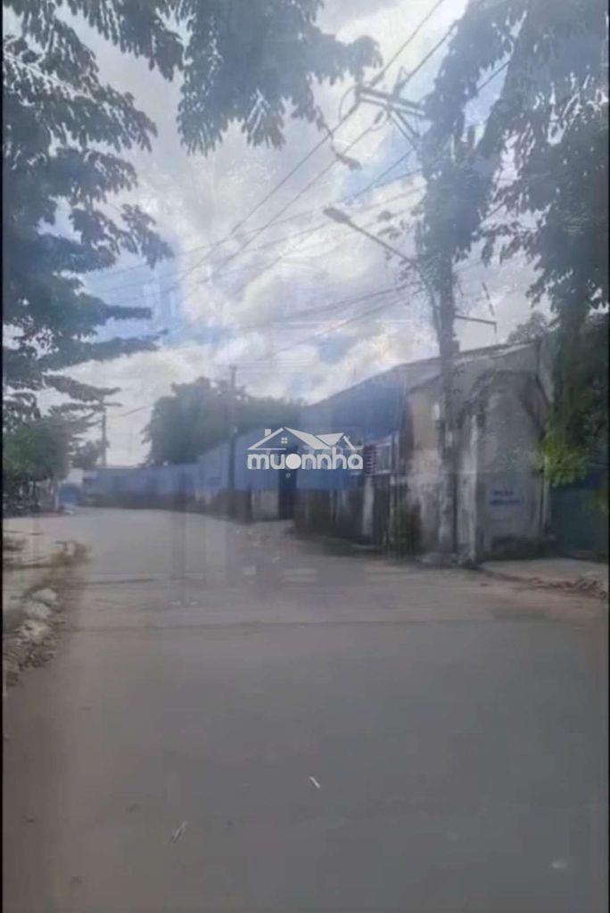 Nhà làm văn phòng, nhà nguyên căn - 2