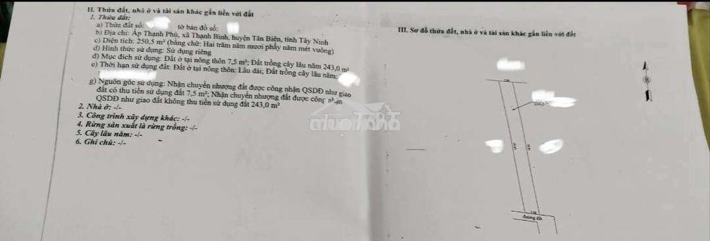 Đất trồng cây lâu năm phân lô cách 1 căn nhà là mặt tiền đường lớn  - 2