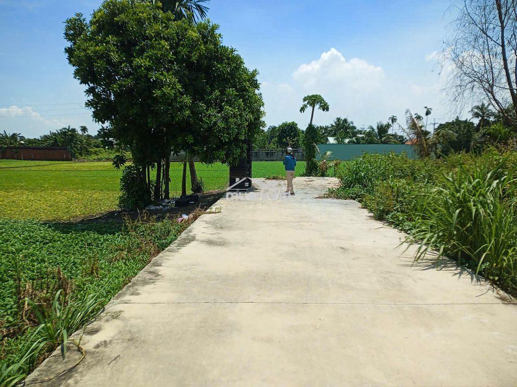 Cần bán đất thổ cư bình mỹ cc - 4