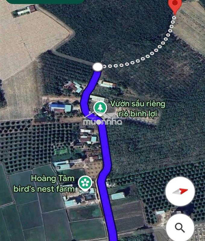 Bán đất vườn tại hảo đước, tây ninh, 380 triệu, 1000m2 có thổ cư