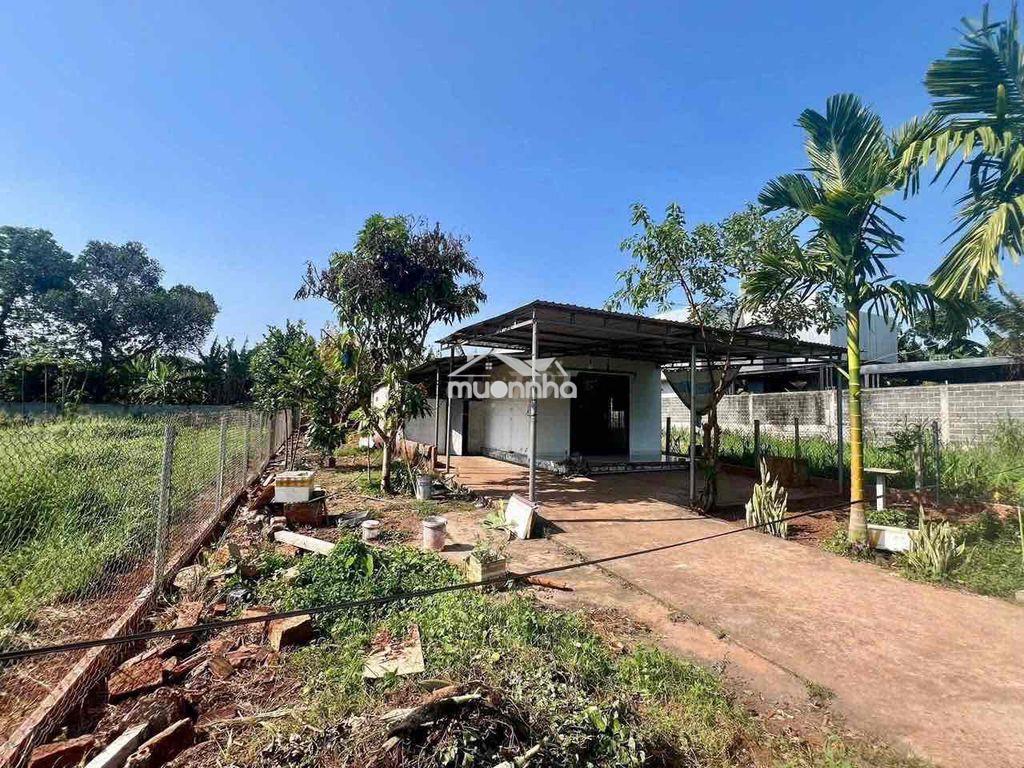 Bán gấp mảnh đất sẵn nhà 🏡 - 3