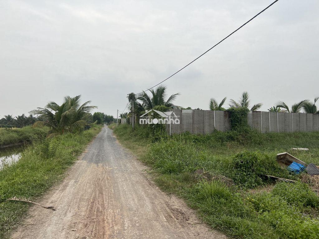 Bán 3,0ha đất đường kênh 10, lê minh xuân sát vành đai 3 - 3