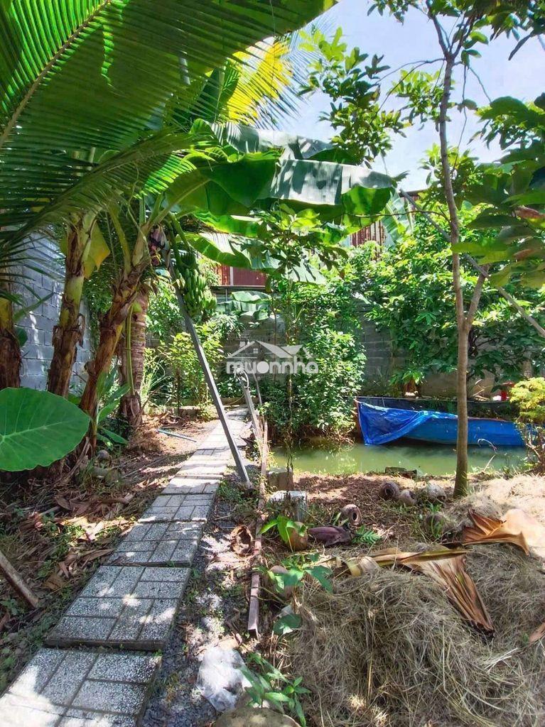 Nhà vườn phường bửu long - 3
