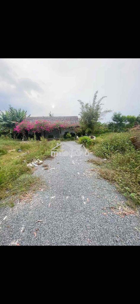 Nhà vườn 3000m2 ( 75m x 40m ) tam đa, q.9 - 3