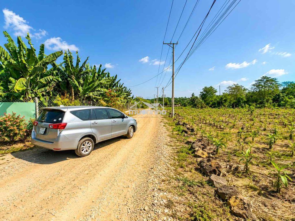 🌿 3.118m² gia kiệm – làm trang trại, nhà vườn, farmstay rất đẹp - 2