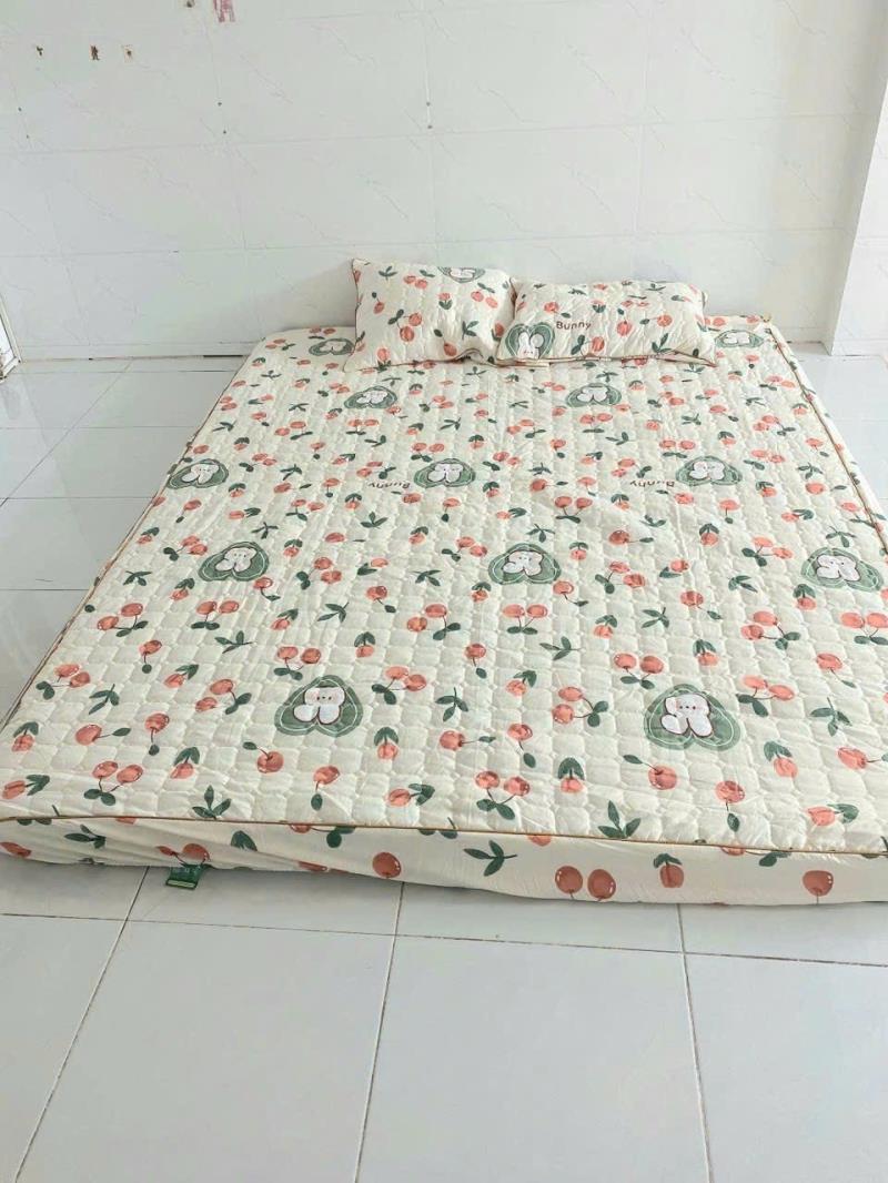 Cho thuê phòng full nội thất - xô viết nghệ tĩnh - gần đh hồng bàng, uef, gtvt, ftu - 2