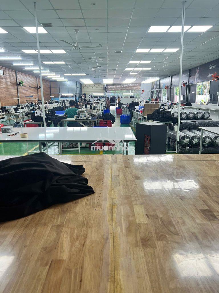 Cho thuê gấp xưởng may tại dầu tiếng, bình dương - 3