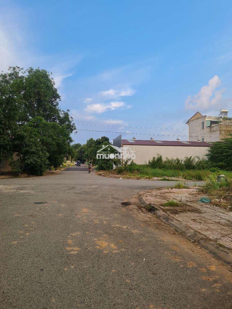 🏡 Bán đất kdc lavender – phường tân triều, tp. đồng nai

📍 lô a8/3 - 4
