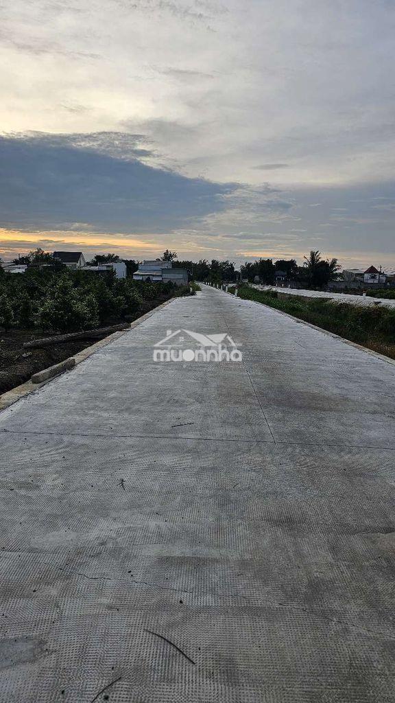 1.000 m2 đất vườn đẹp đường oto - 3