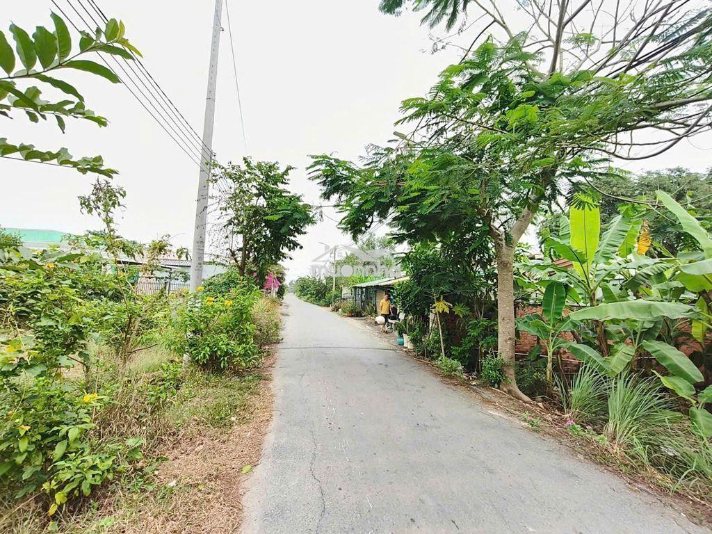 Bán đất quy đức  bình chánh - 2