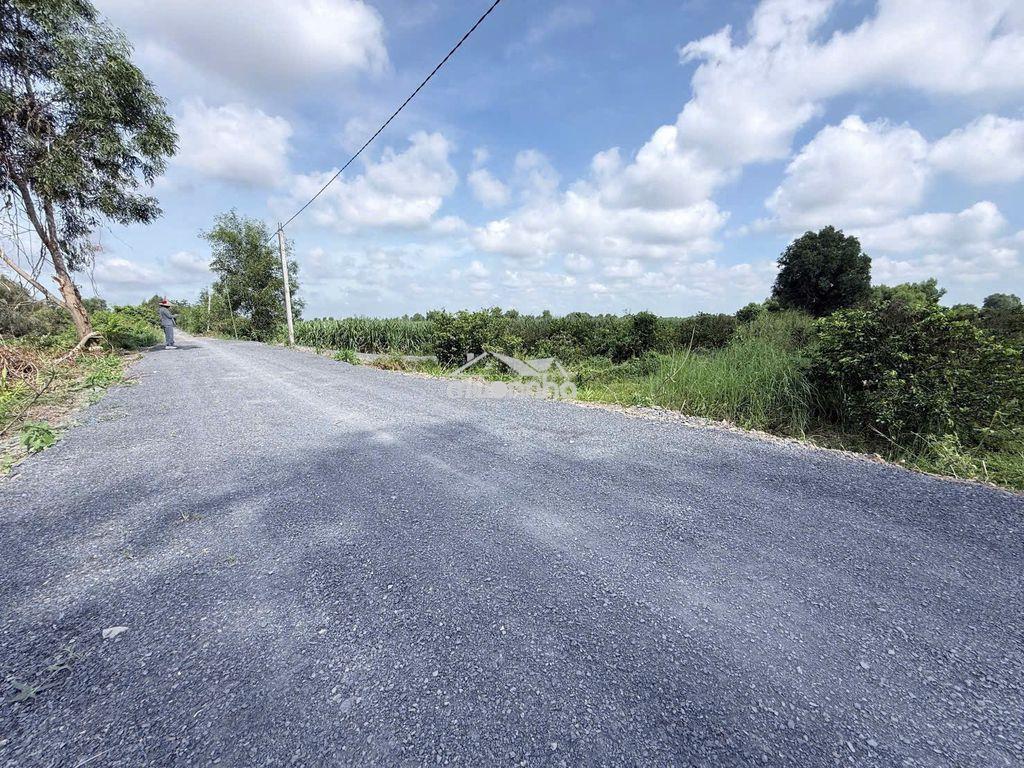 Hàng hiếm tại tỉnh lộ 816, 360 triệu, 500m2 đất vườn view kênh mát mẻ - 2
