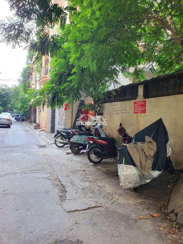 Cho thuê mặt ngõ tự do rộng 5m-6m, vị trí vàng, nhu cầu tiêu dùng cao. - 3