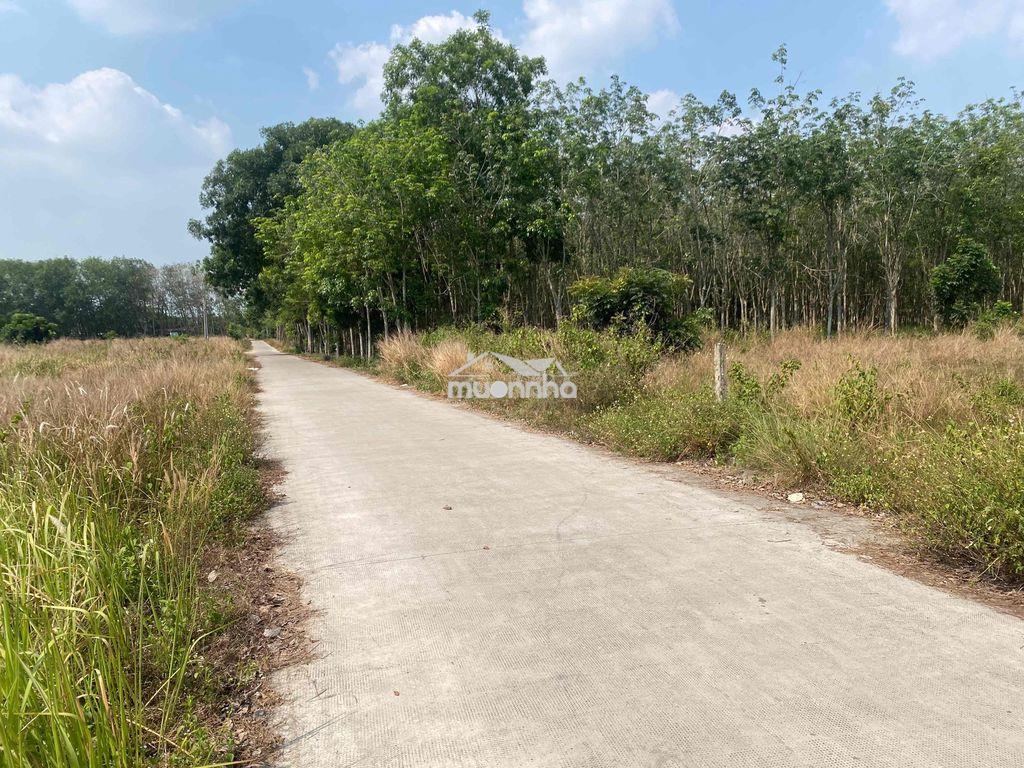 Bán đất vườn - 2