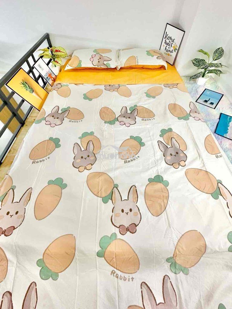 Phòng trọ sạch sẽ ở bàu bàng tân bình - 3