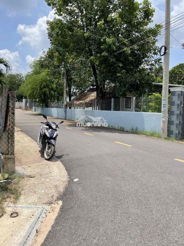 Bán gấp đất thổ cư chánh phú hoà - 3