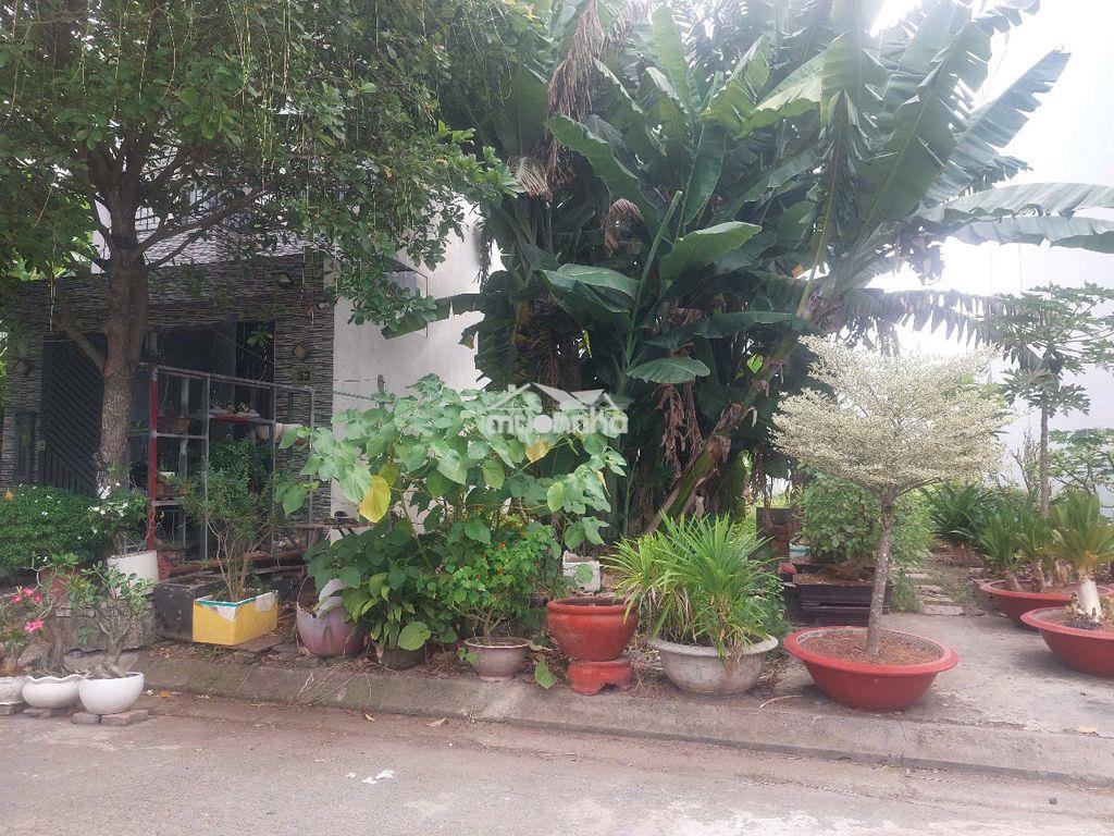 Bán đất dự án kdc 13e intresco cạnh trường đại học mật mã quân đội - 3