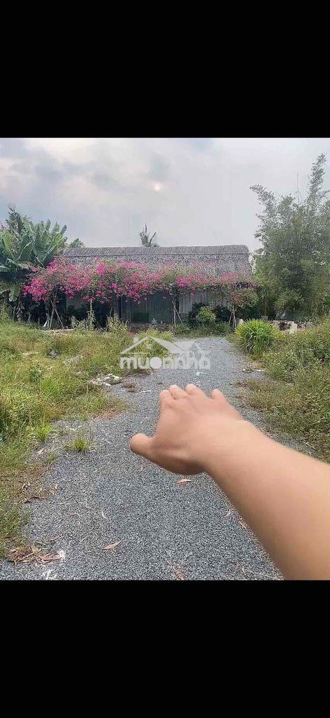Nhà vườn 3000m2 ( 75m x 40m ) tam đa, q.9 - 4