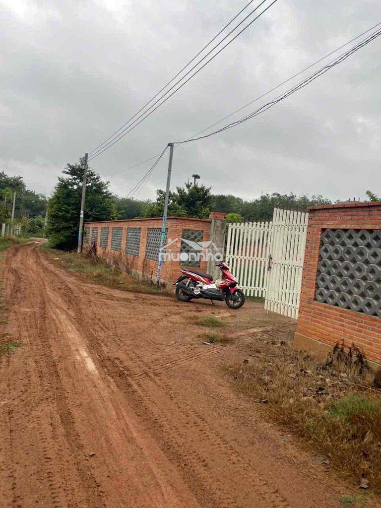 Bán đất và nhà cấp 4 có hàng rào kiên cố, đất đẹp vuông vức - 2