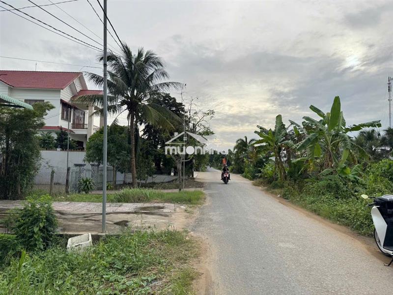 Đất mặt tiền chí sinh, tân phú tặng gpxd chính trệt lầu. giá sốc