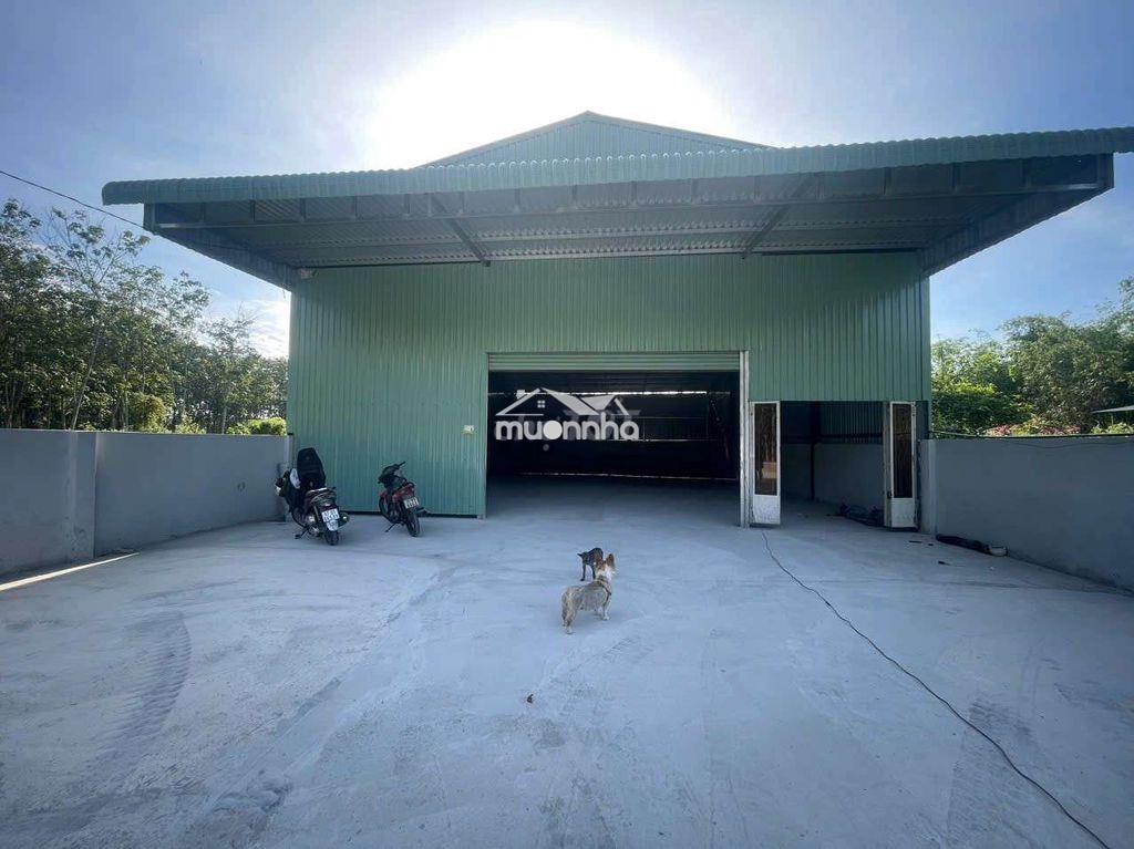 Xưởng mỹ phước 450m giá 12 triệu - 4