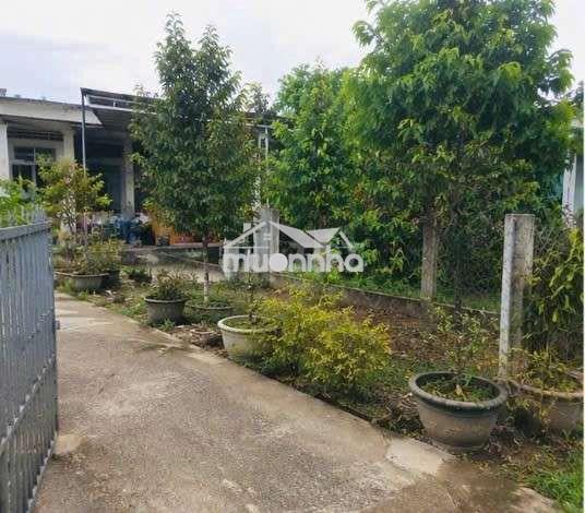 💥 Chốt nhanh lô đất nhà vườn 600m2 - giá 650 triệu - 2