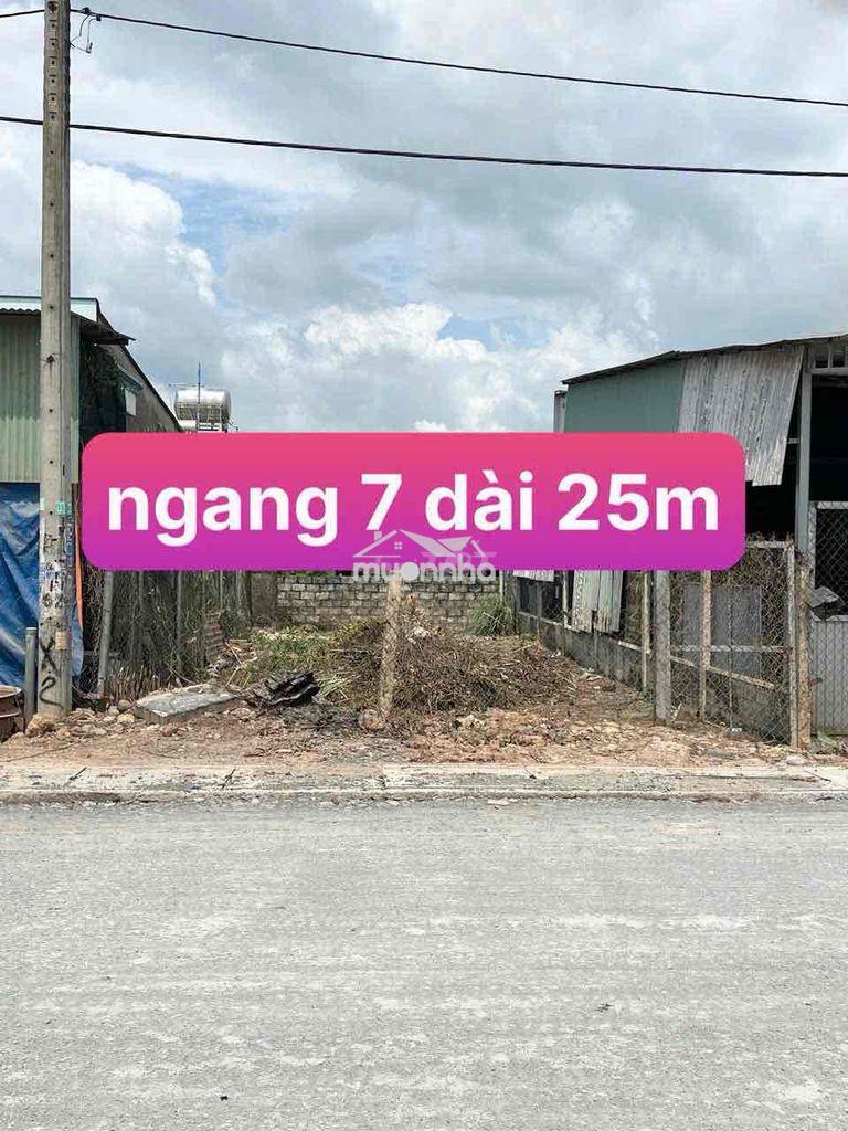 🏡 Bán đất mặt tiền hương lộ 15 – vị trí đẹp, tiềm năng kinh doanh cao - 3