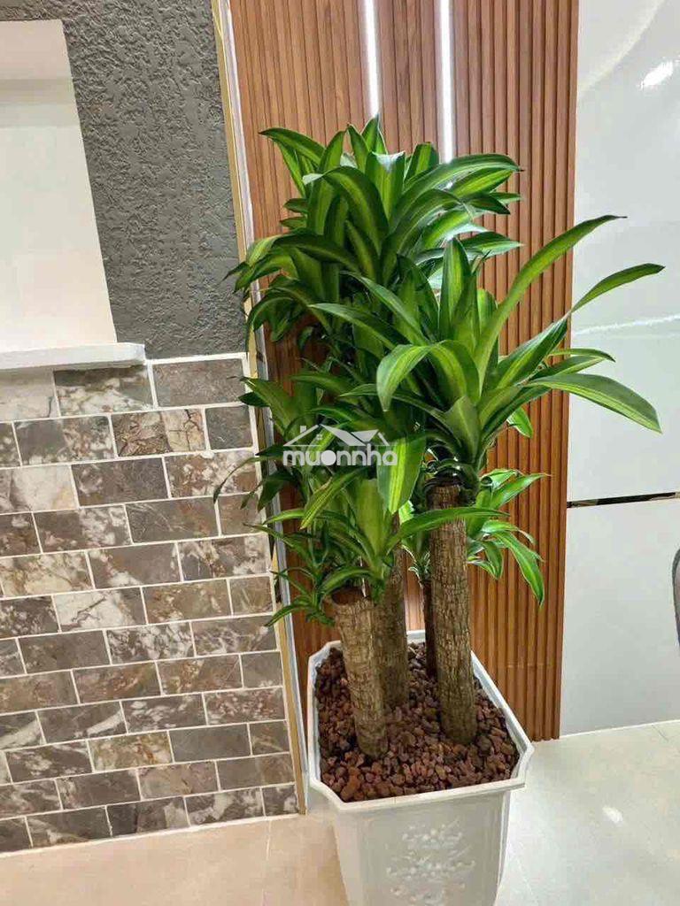 Nhà mới đẹp tặng nội thất sang xịn - 4