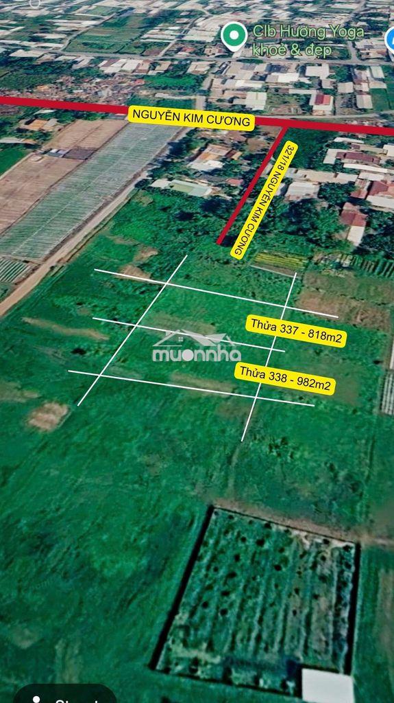 1800m2 đất nông nghiệp tân thạnh đông - 22km từ sài gòn