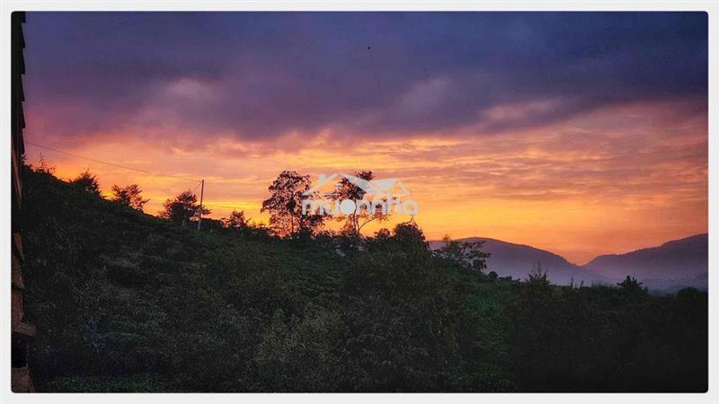 Đất bảo lộc view săn mây