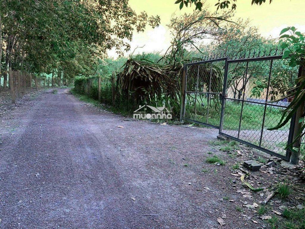 Bán đất đồng nai, 1184m2, 645 triệu - 3