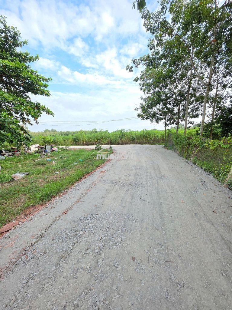 Đất thổ cư gần kcn hiệp thạnh. 9m ngang. chỉ 240tr - 4