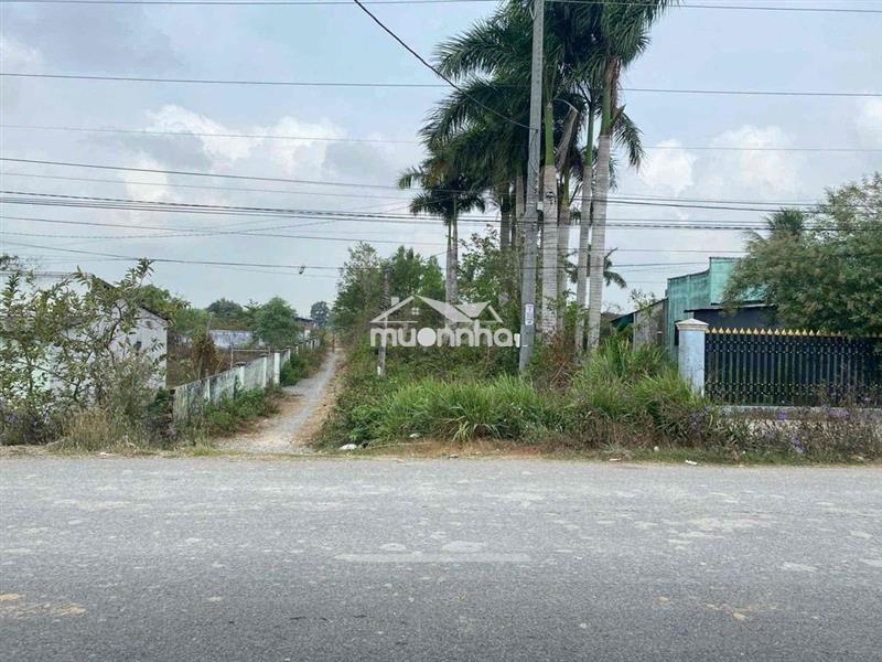 Nhà đất + trại nuôi gà
