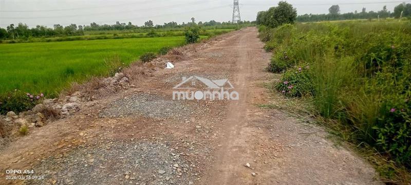 Cần bán lô đất dt 2109 m2 tại bình hòa nam đức huệ