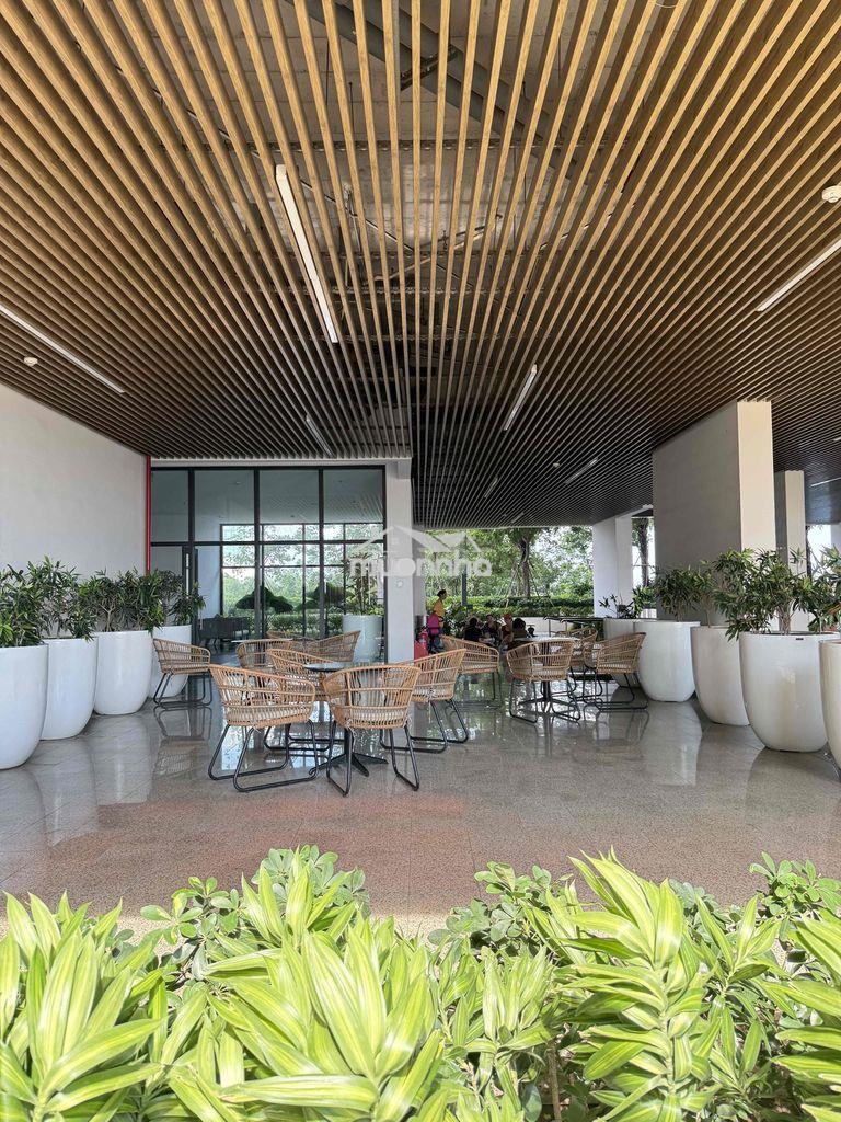 Chỉ 1 căn *** studio trống 40m2 - opal skyline chỉ 4.5tr/tháng - 3