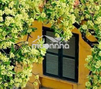 Cho thuê nhà đường gò dầu - p tân quý đúc 1 trệt , 1 lầu  : 5 x 18 m - 2
