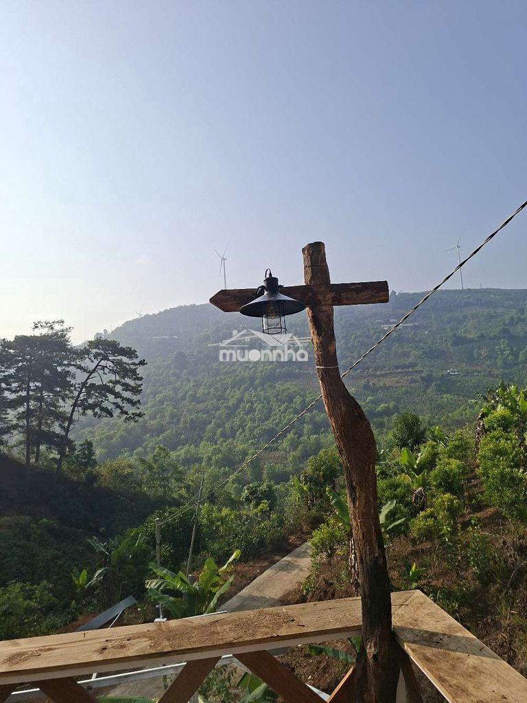 Bán homestay view săn mây cầu đất