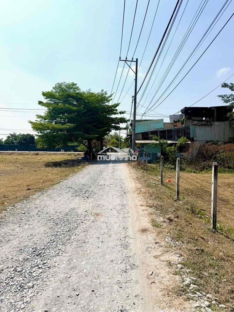 Đất khu dân cư . gần kcn vĩnh lộc . tân bình  chín chủ - 2