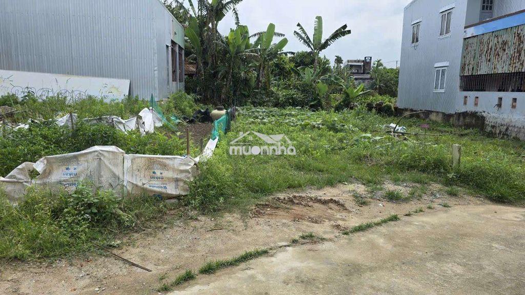 Một siểu phậm đất biệt thự giá rẻ, la bông 123 - 3