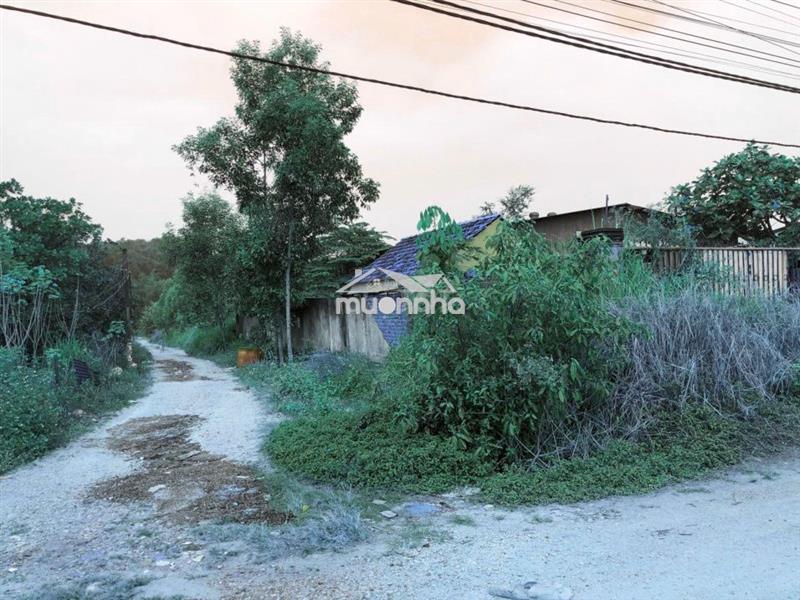 Bán đất 4926.7m2 phước thái, long thành, đồng nai - gần kcn, cao tốc
