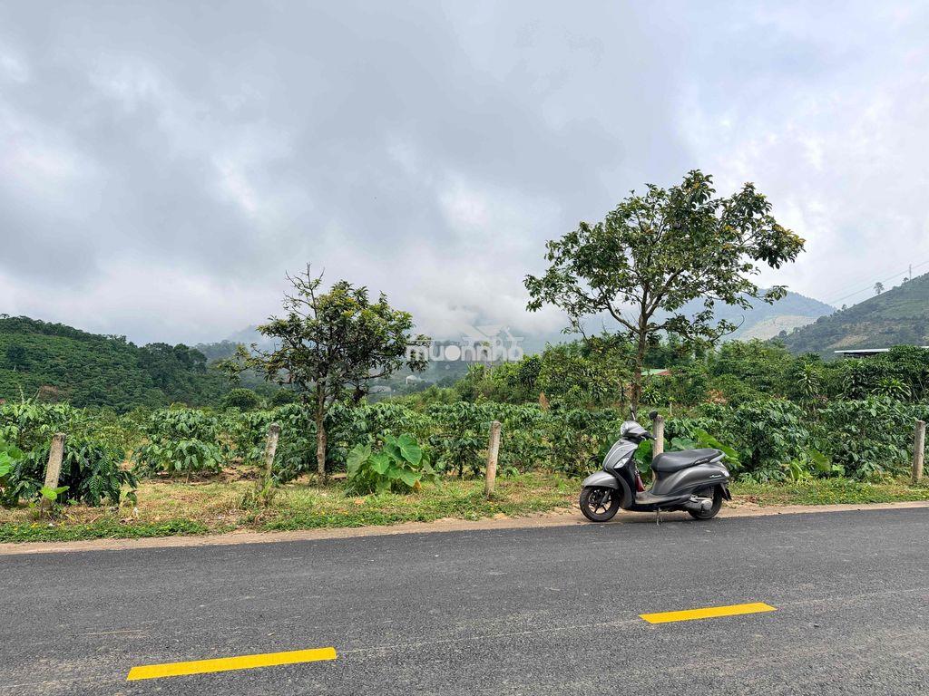 Đất view săn mây - mặt tiền đường hàm nghi - quy hoạch thổ cư - 3